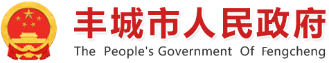 丰城市人民政府